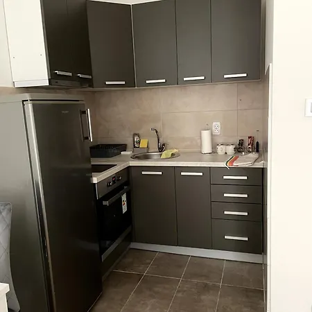 Apartment Visnjica